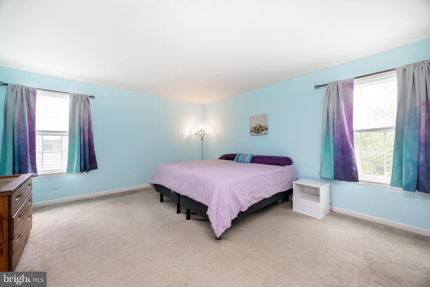 3237 Walnut Street photo 16