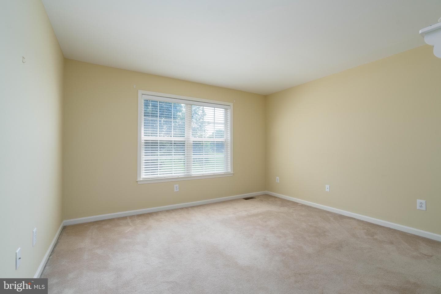 222 Honey Locust Drive photo 31