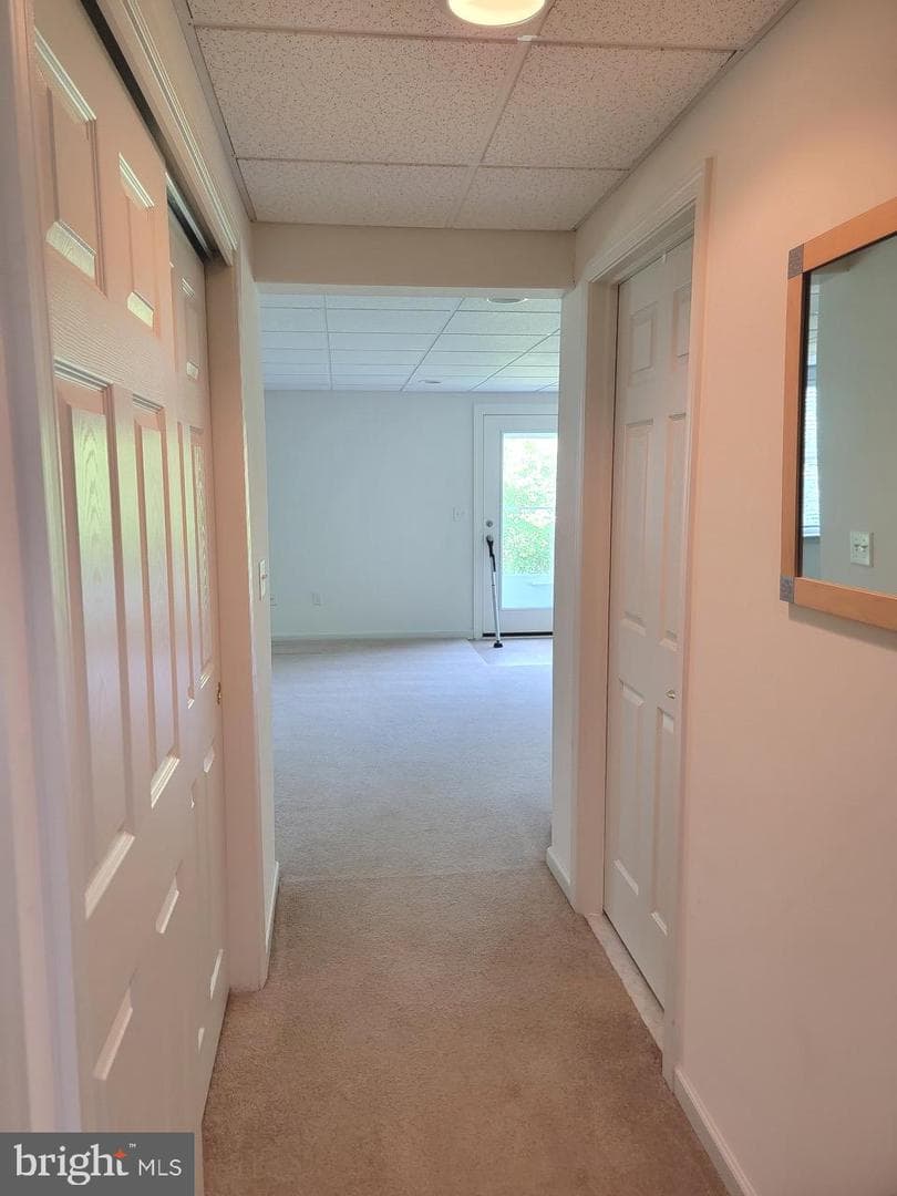 339 Carlisle Drive photo 19