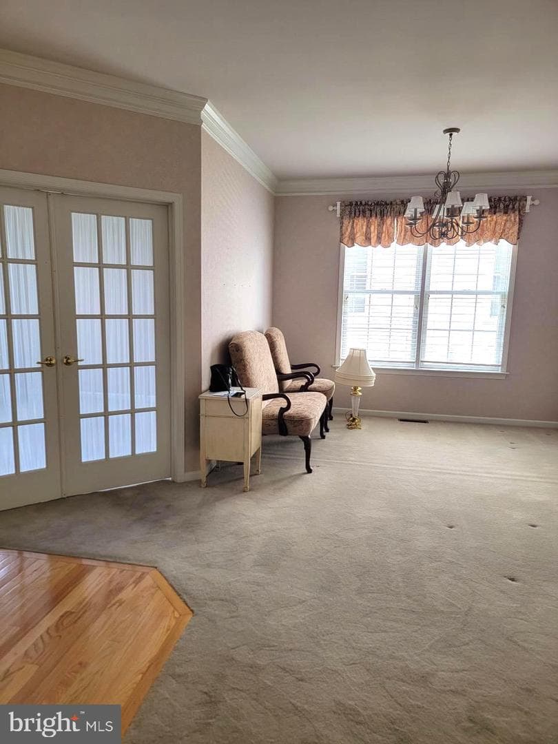 339 Carlisle Drive photo 3