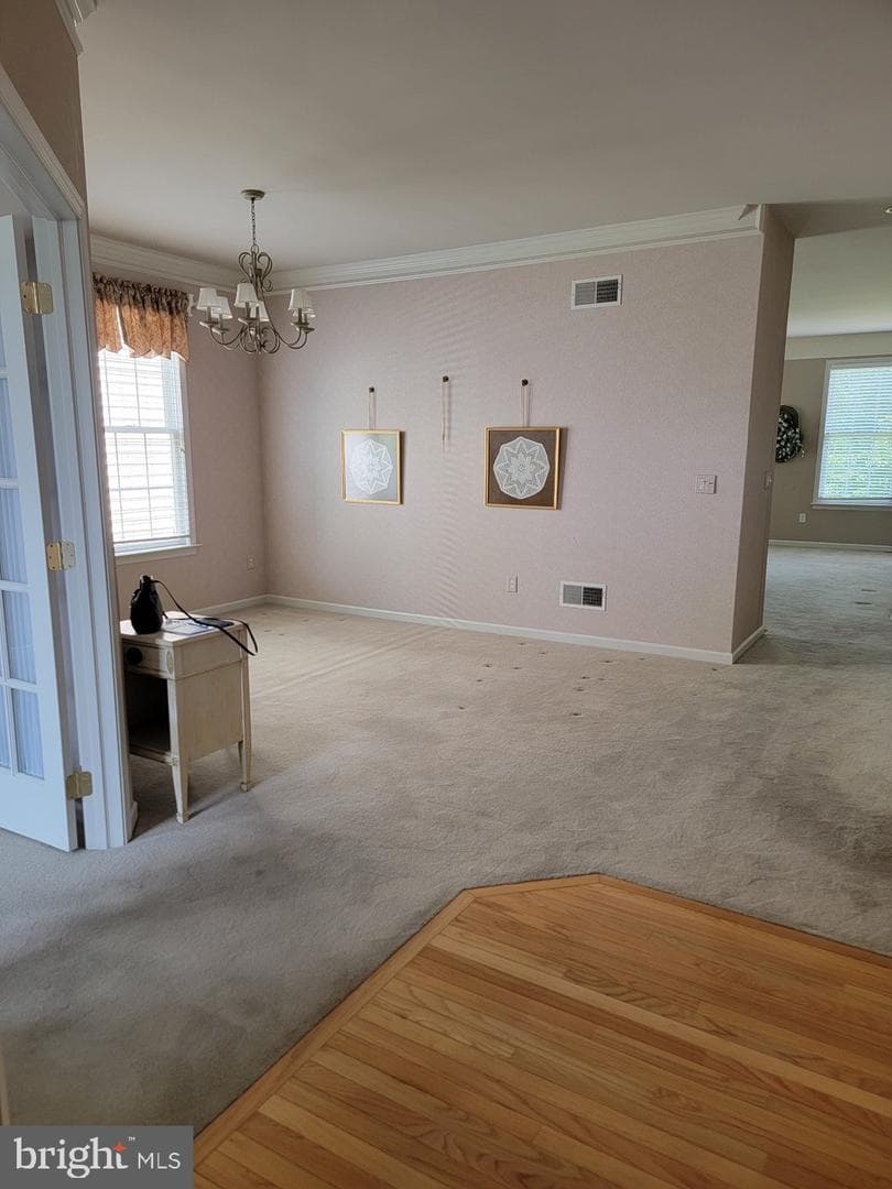 339 Carlisle Drive photo 5
