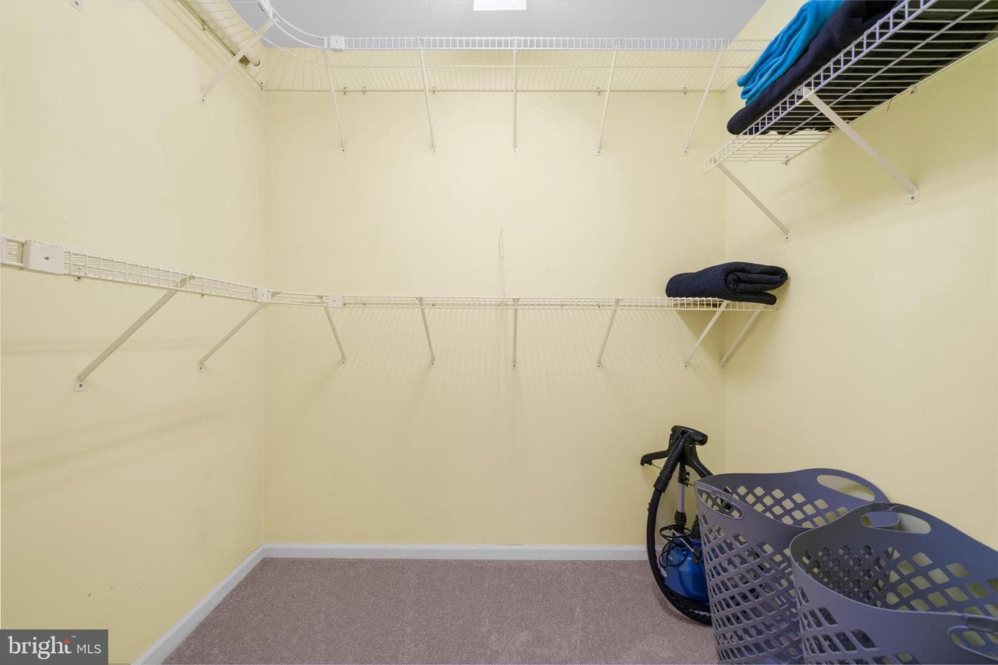 503 Santillo Way photo 27