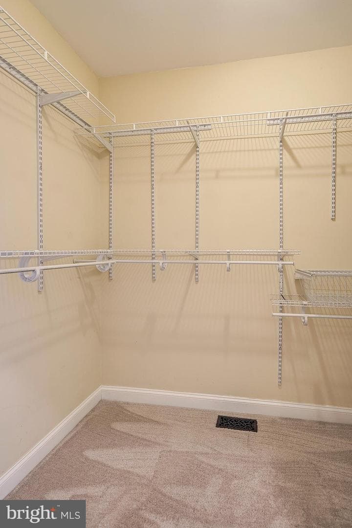100 Forelock Court photo 30