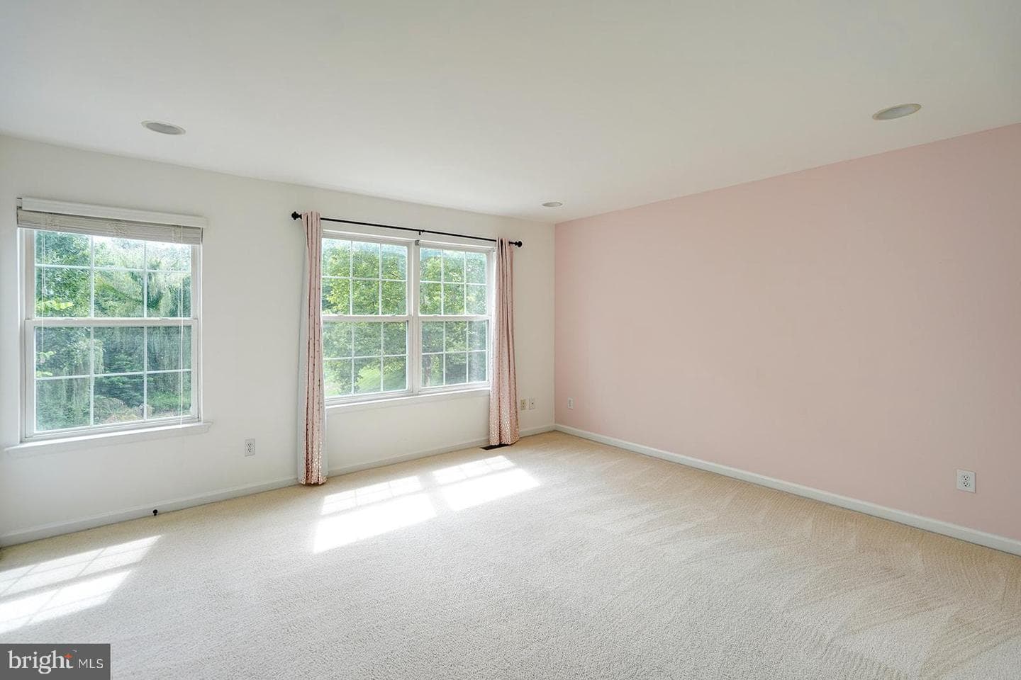 100 Forelock Court photo 33