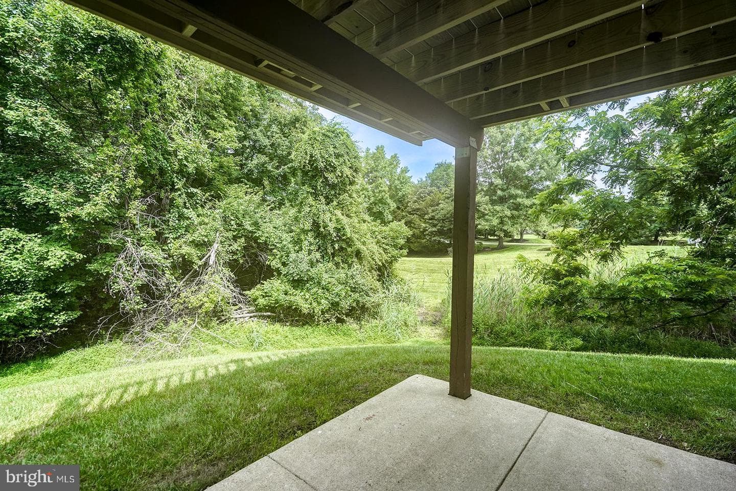 100 Forelock Court photo 42