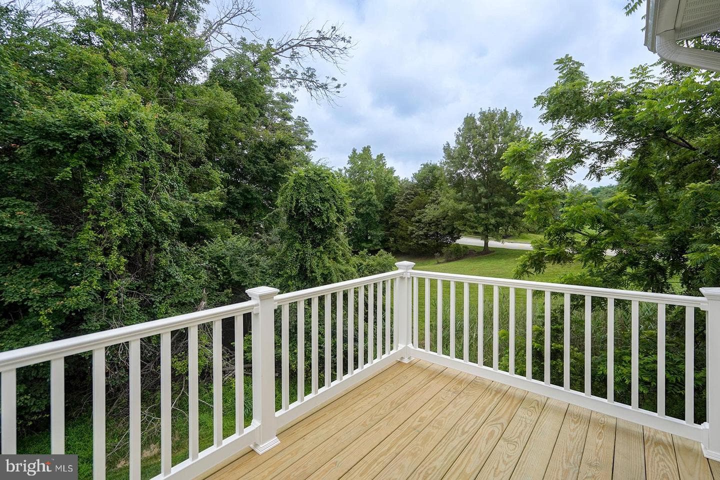 100 Forelock Court photo 44
