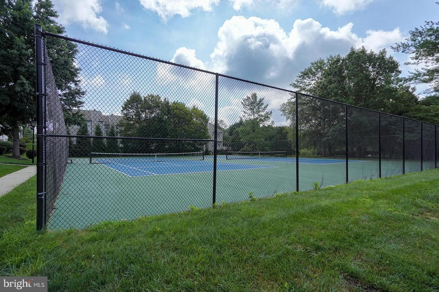 100 Forelock Court photo 52