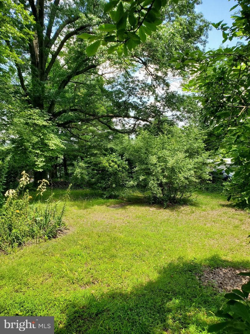6 Belmar Street photo 3