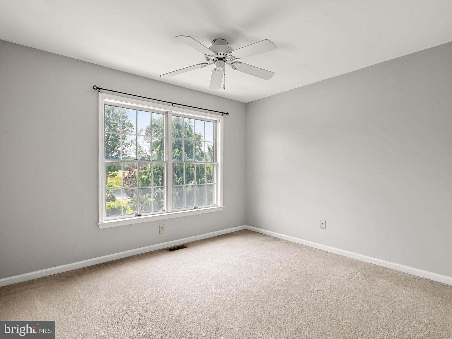 77 Buttonwood Drive #77 photo 23