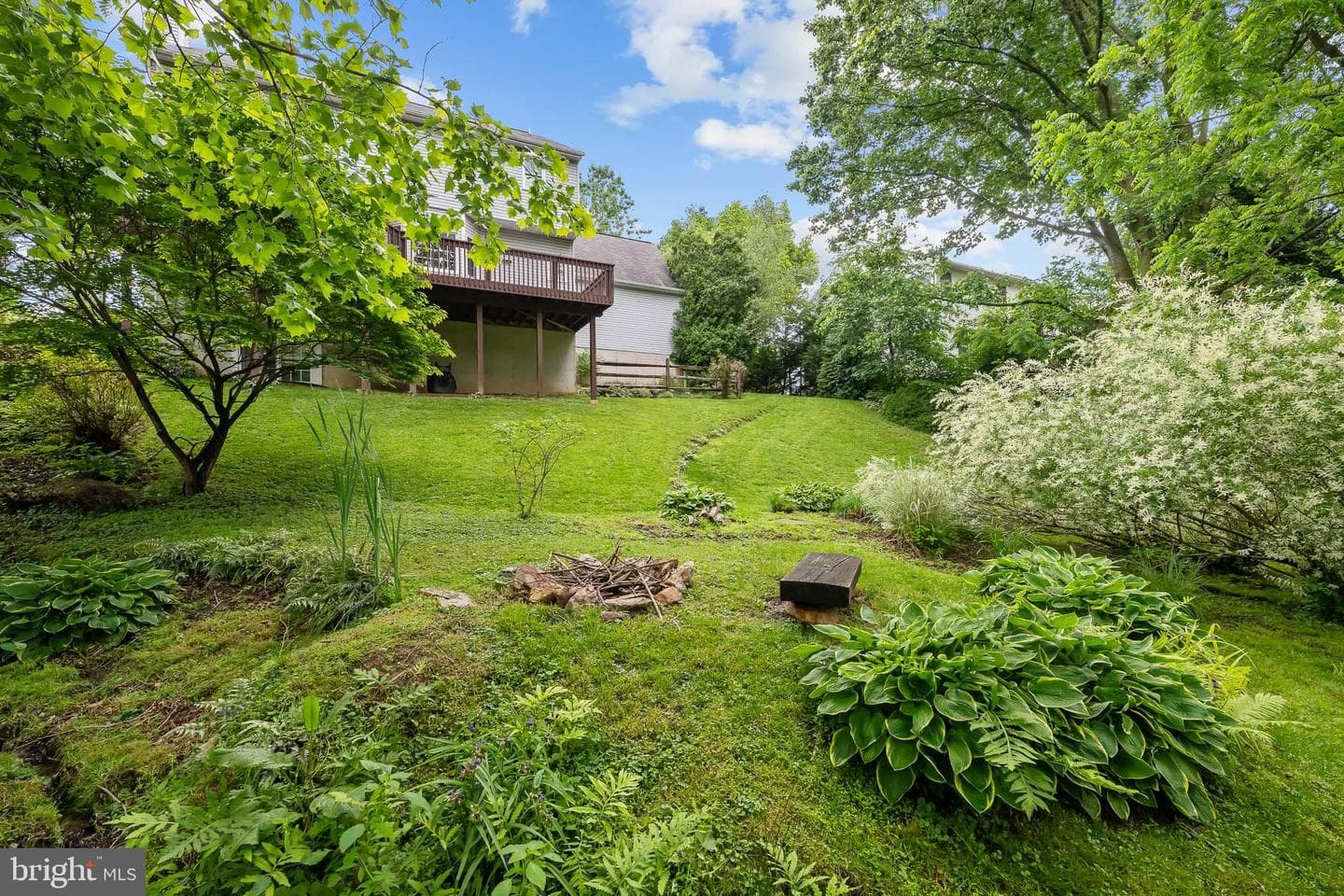 137 Cambridge Road photo 17