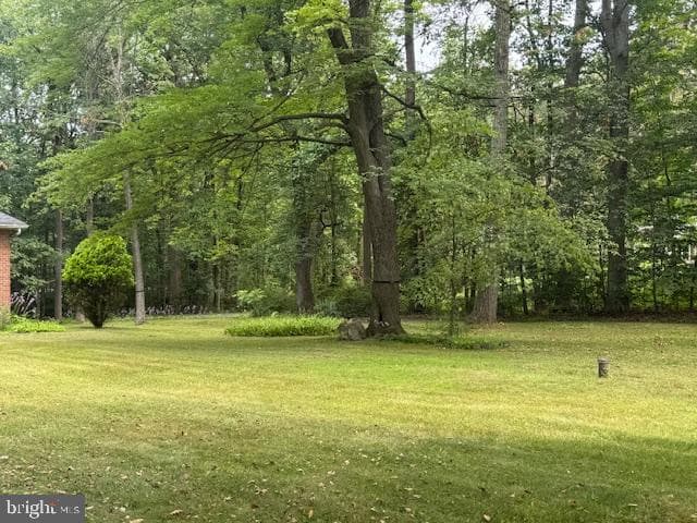 101 Schane Lane photo 27