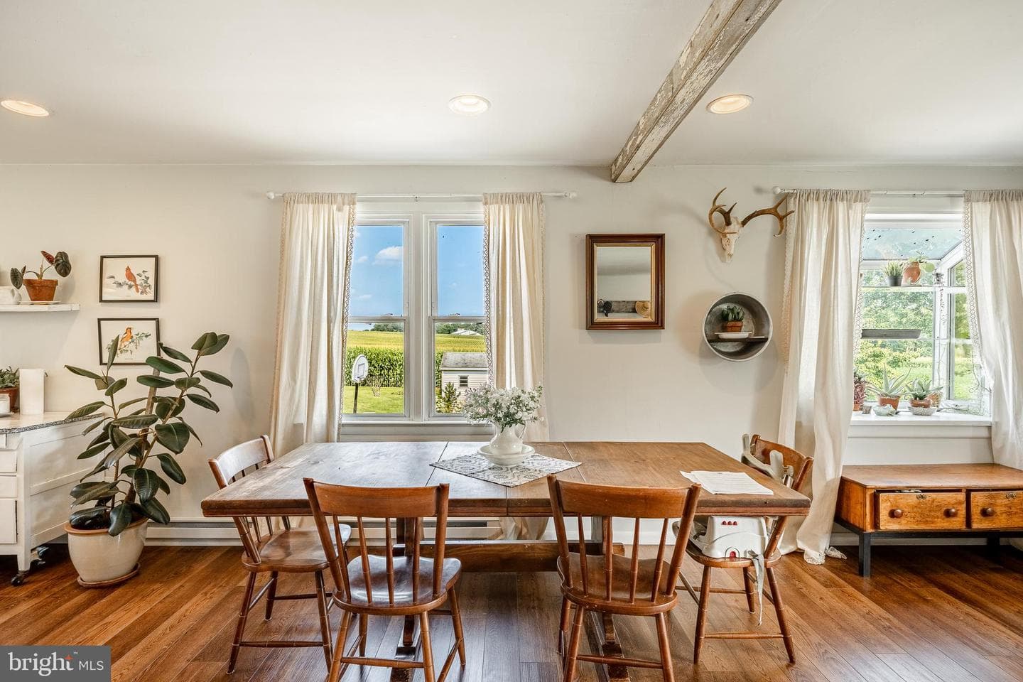 25 Freeman Road photo 29