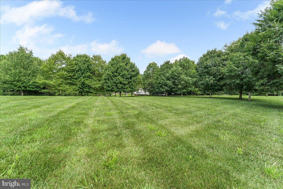 2 Scaleby Lane photo 72