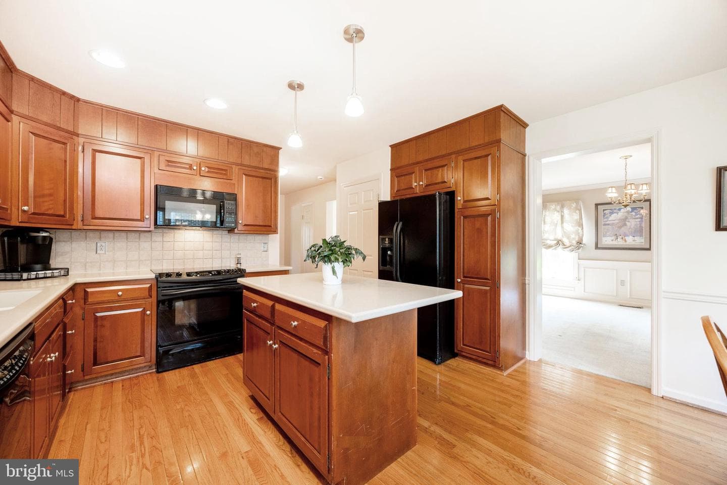 1163 Fielding Drive photo 15