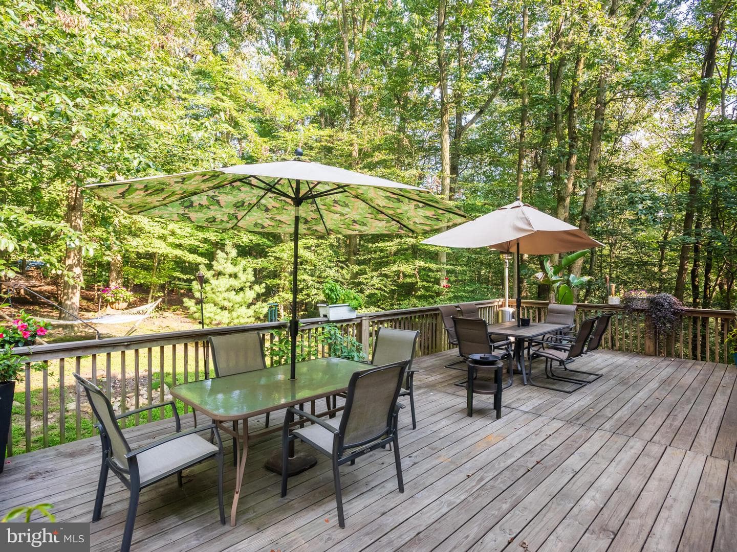 120 Acorn Way photo 41