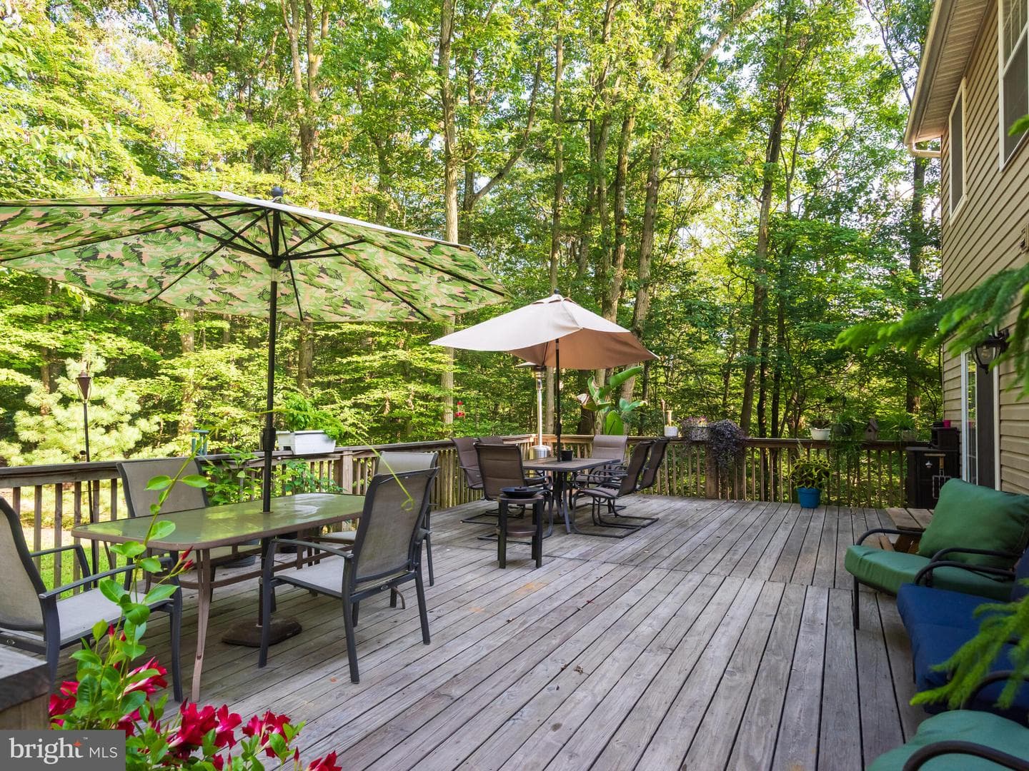 120 Acorn Way photo 42