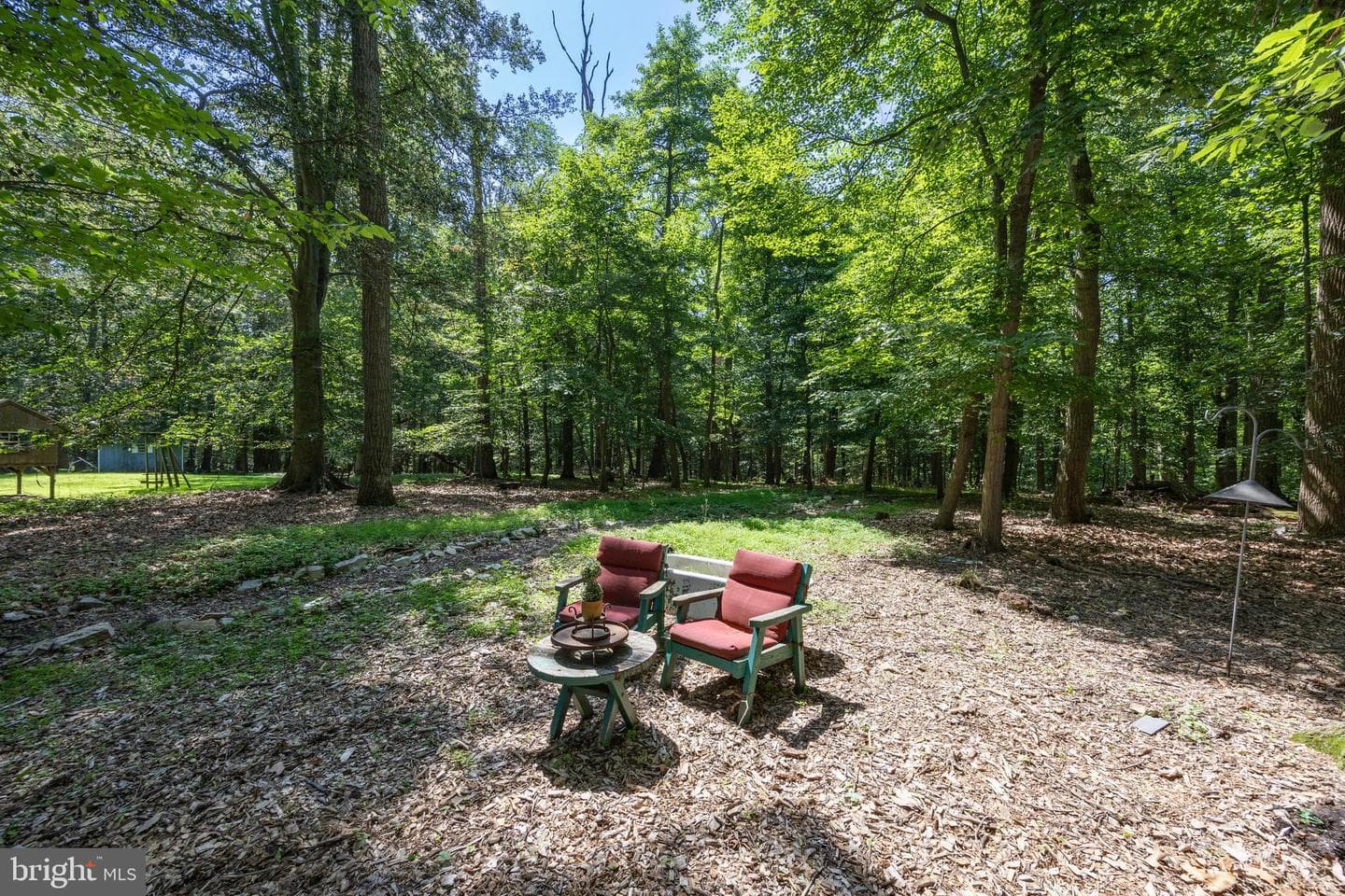 411 Rennard Drive photo 49