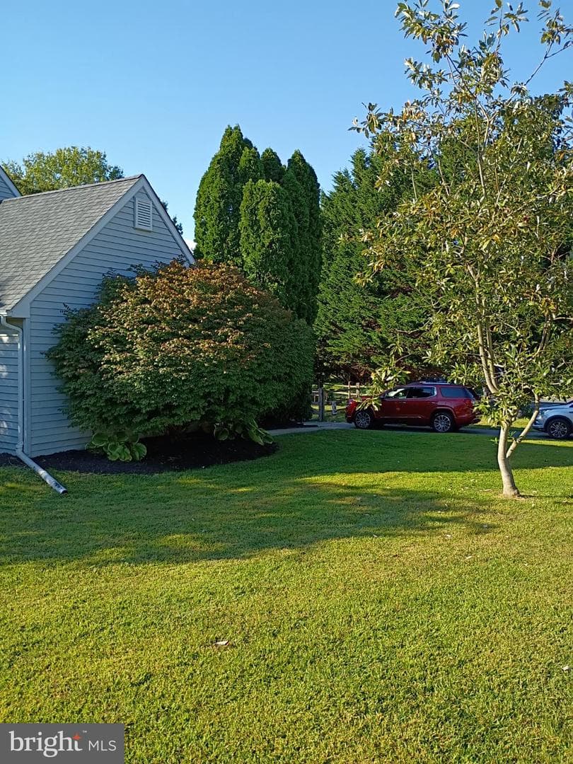 6 Merigold Court photo 5