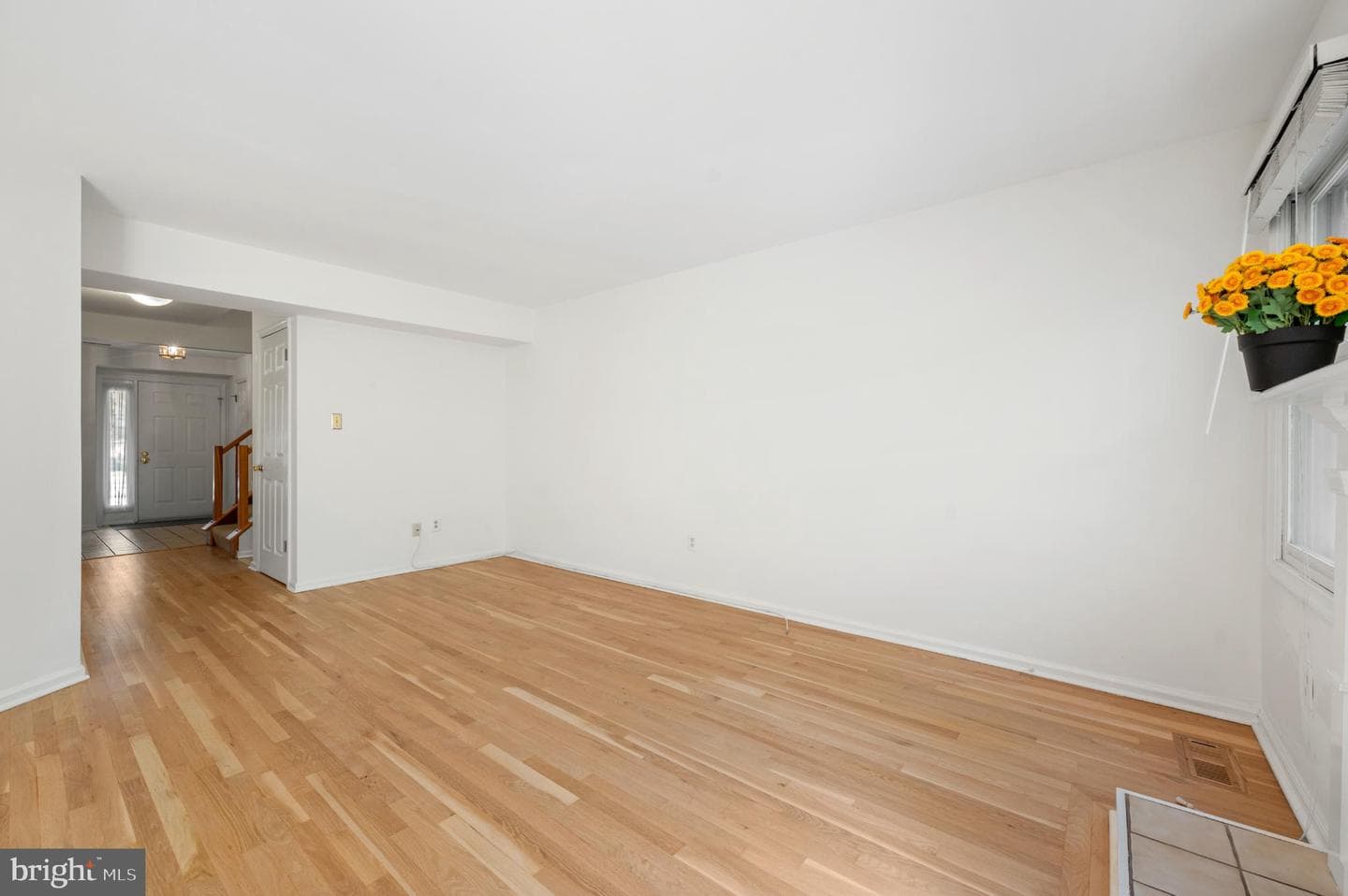 13 Woodstream Drive photo 22