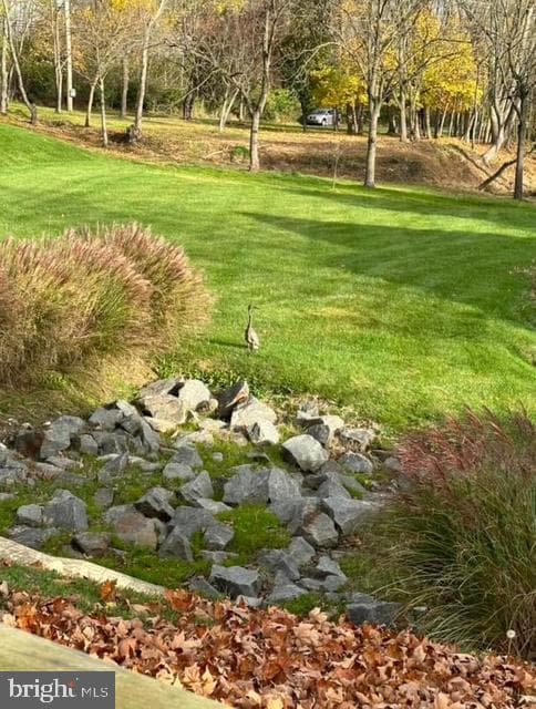 111 Potters Pond Drive photo 42