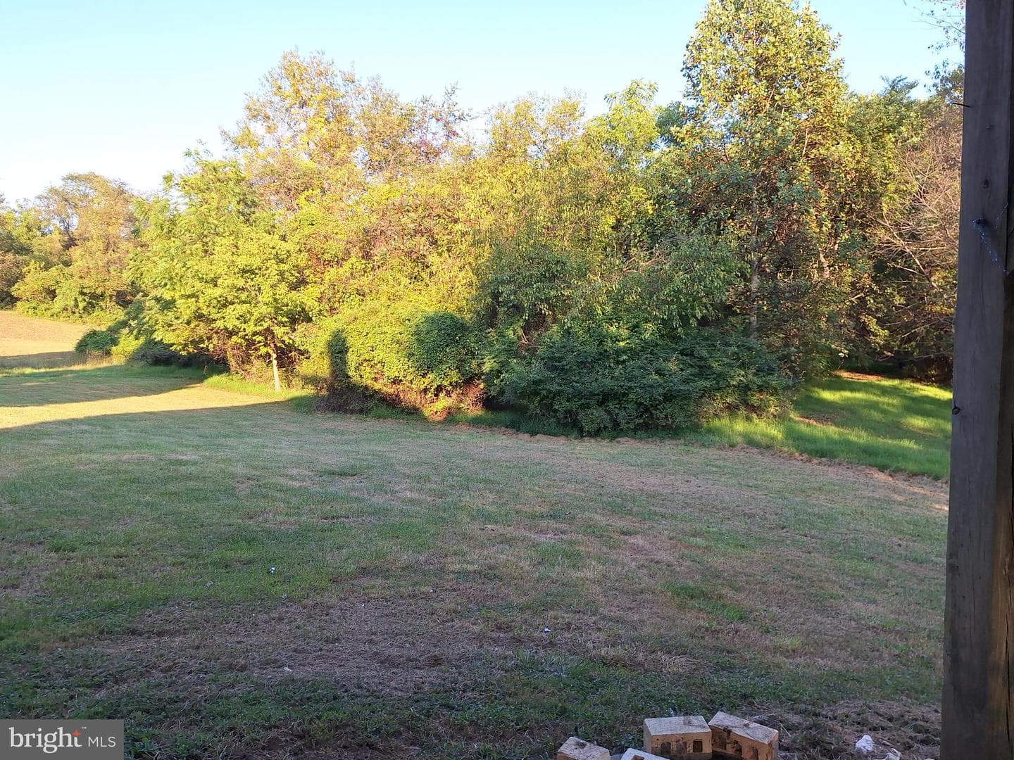 11 Prince Edward Drive photo 48