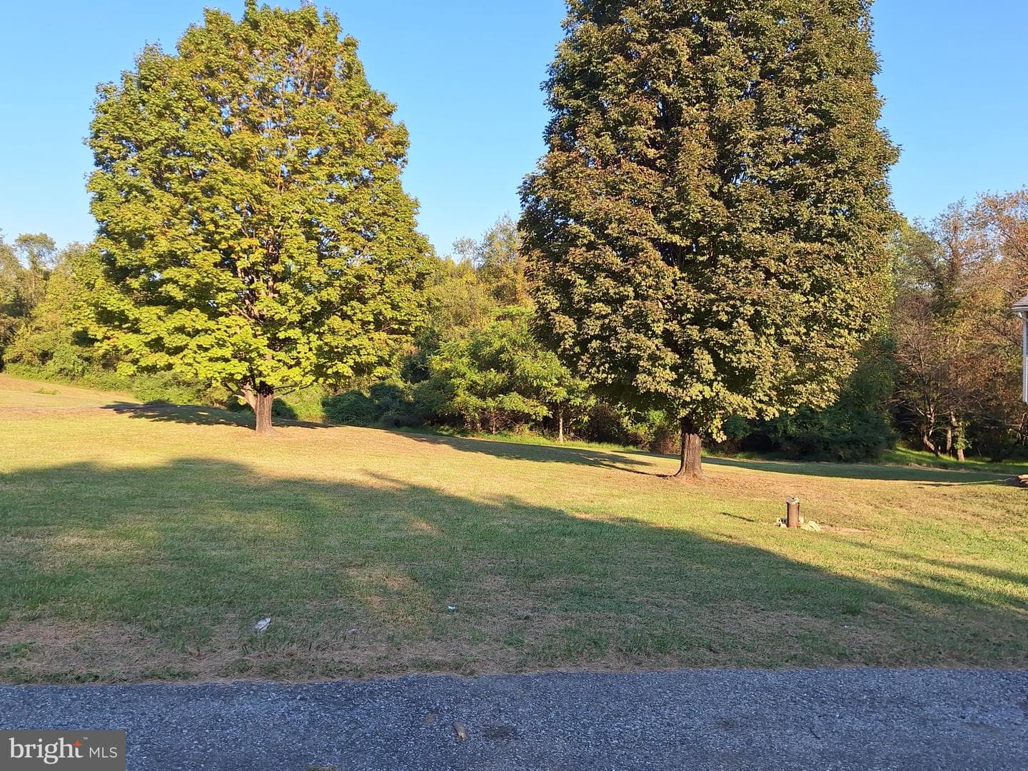 11 Prince Edward Drive photo 5