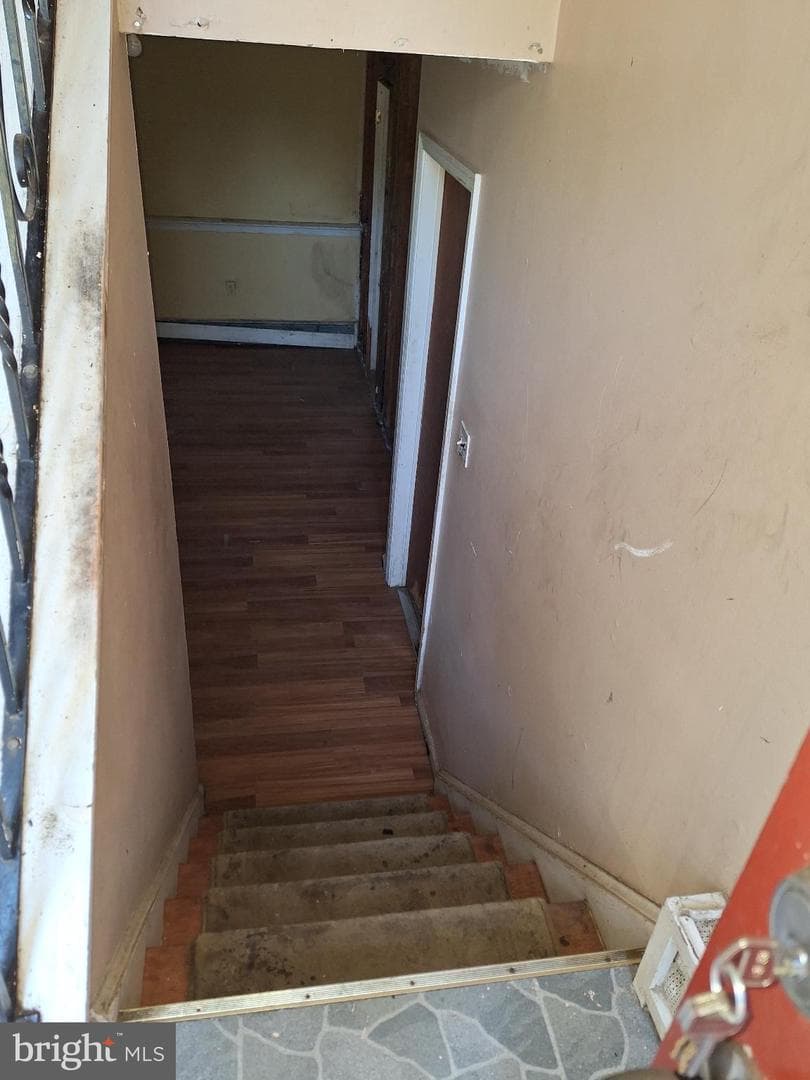 11 Prince Edward Drive photo 8
