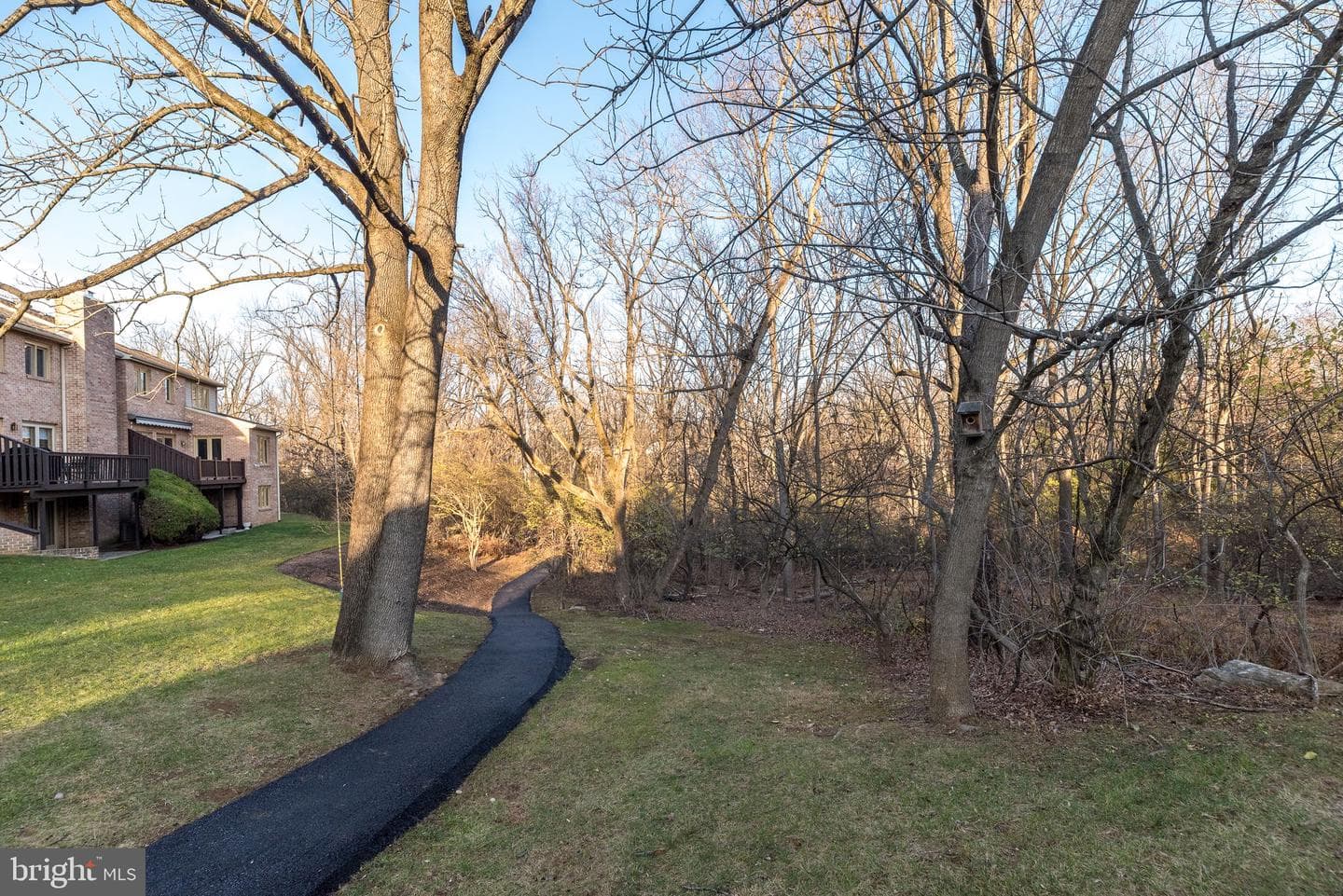 68 Amity Drive photo 61