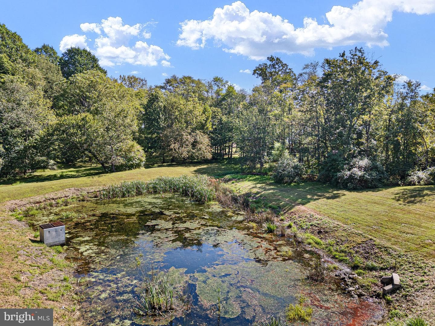 138 Sussex Road photo 49