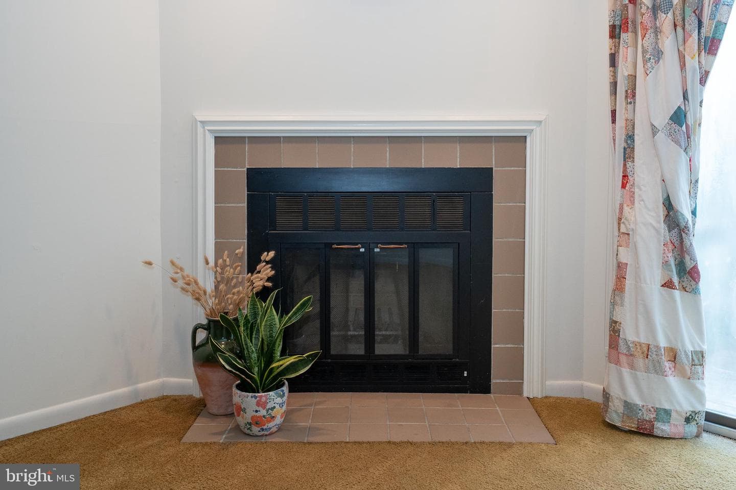 121 Josephs Way photo 8