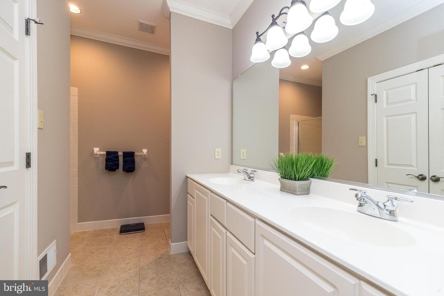 439 Fairmont Drive photo 25