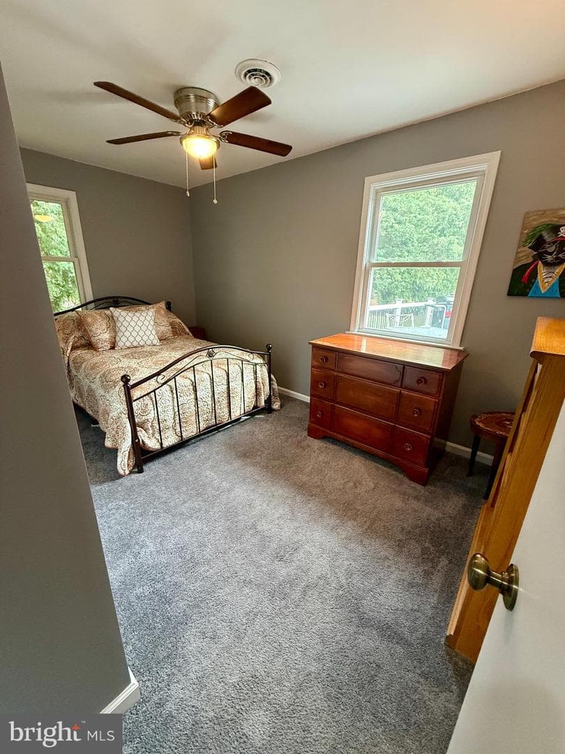 14 Frederick Road photo 26