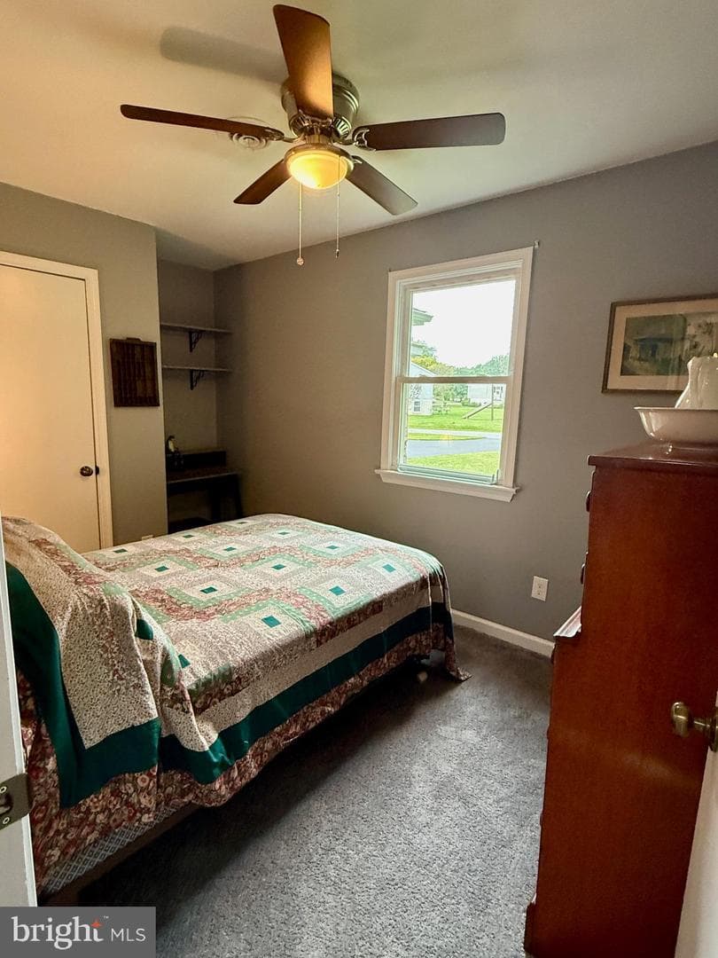 14 Frederick Road photo 28