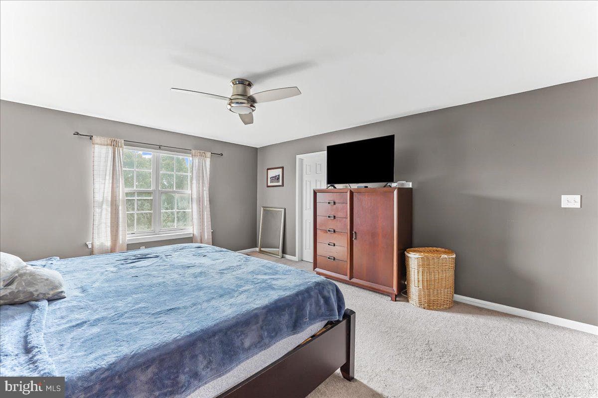 113 Ronway Drive photo 23