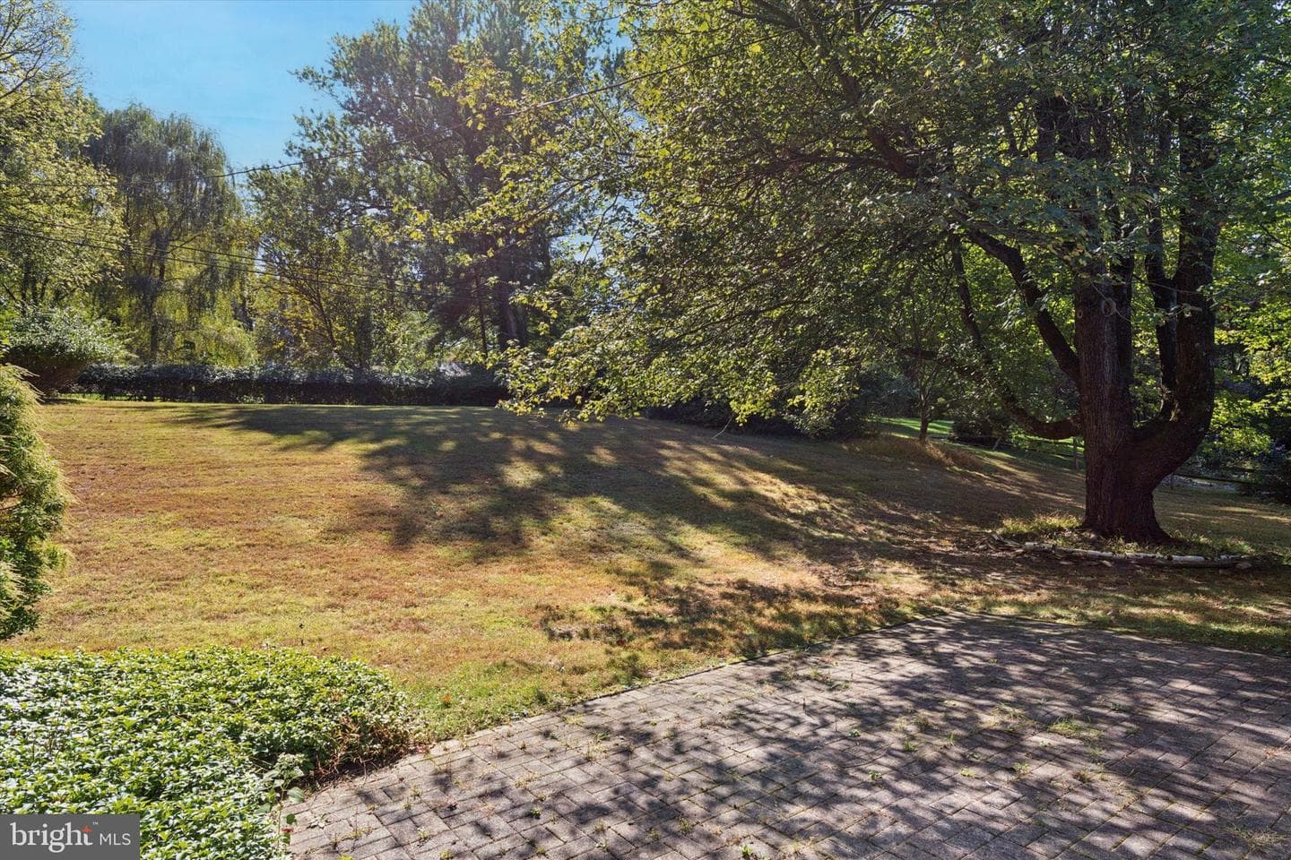 306 Devonshire Road photo 19