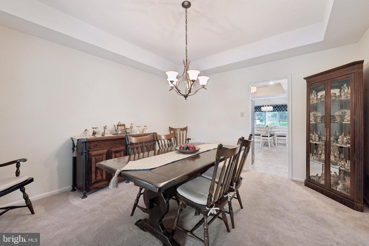 1243 Princeton Lane #1243 photo 10
