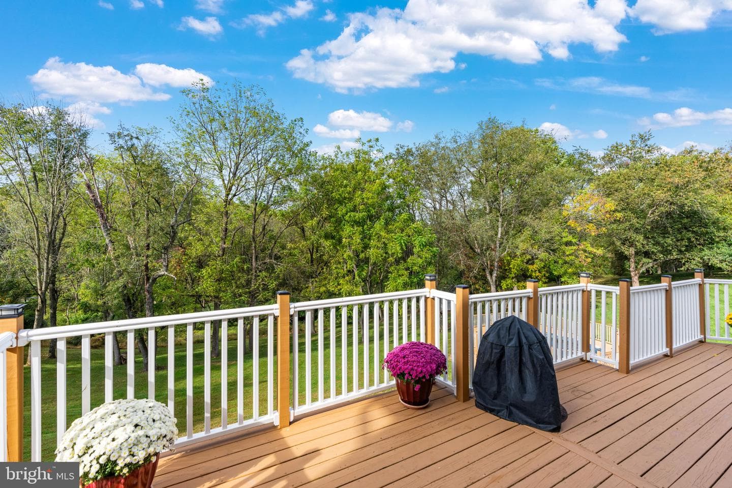 16 Angelica Drive photo 41