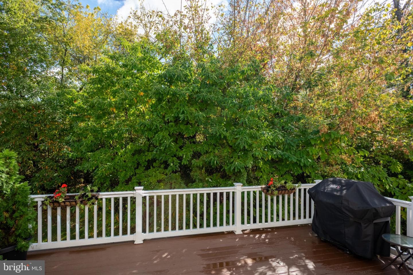 150 Mulberry Drive photo 34
