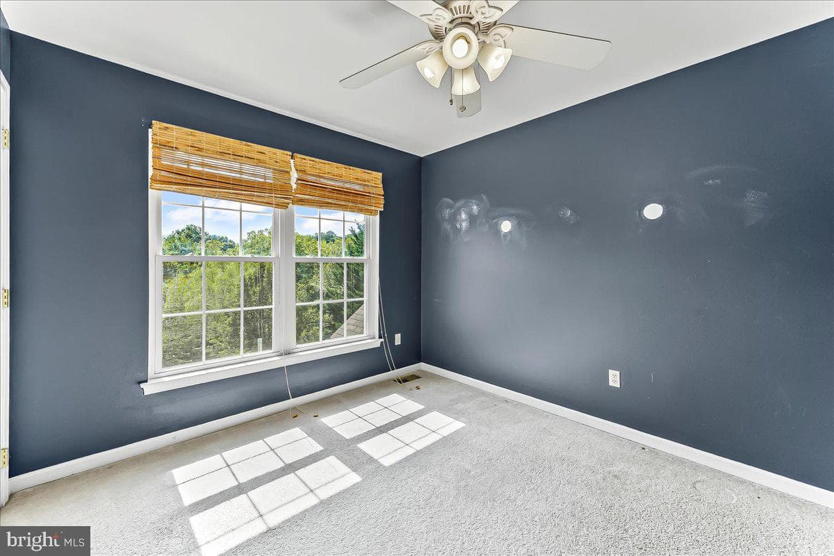 246 Joseph Road photo 29