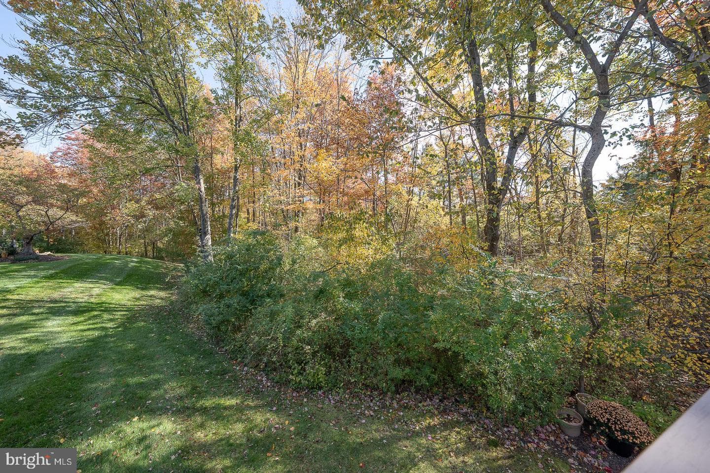 206 Yorktown Place photo 35