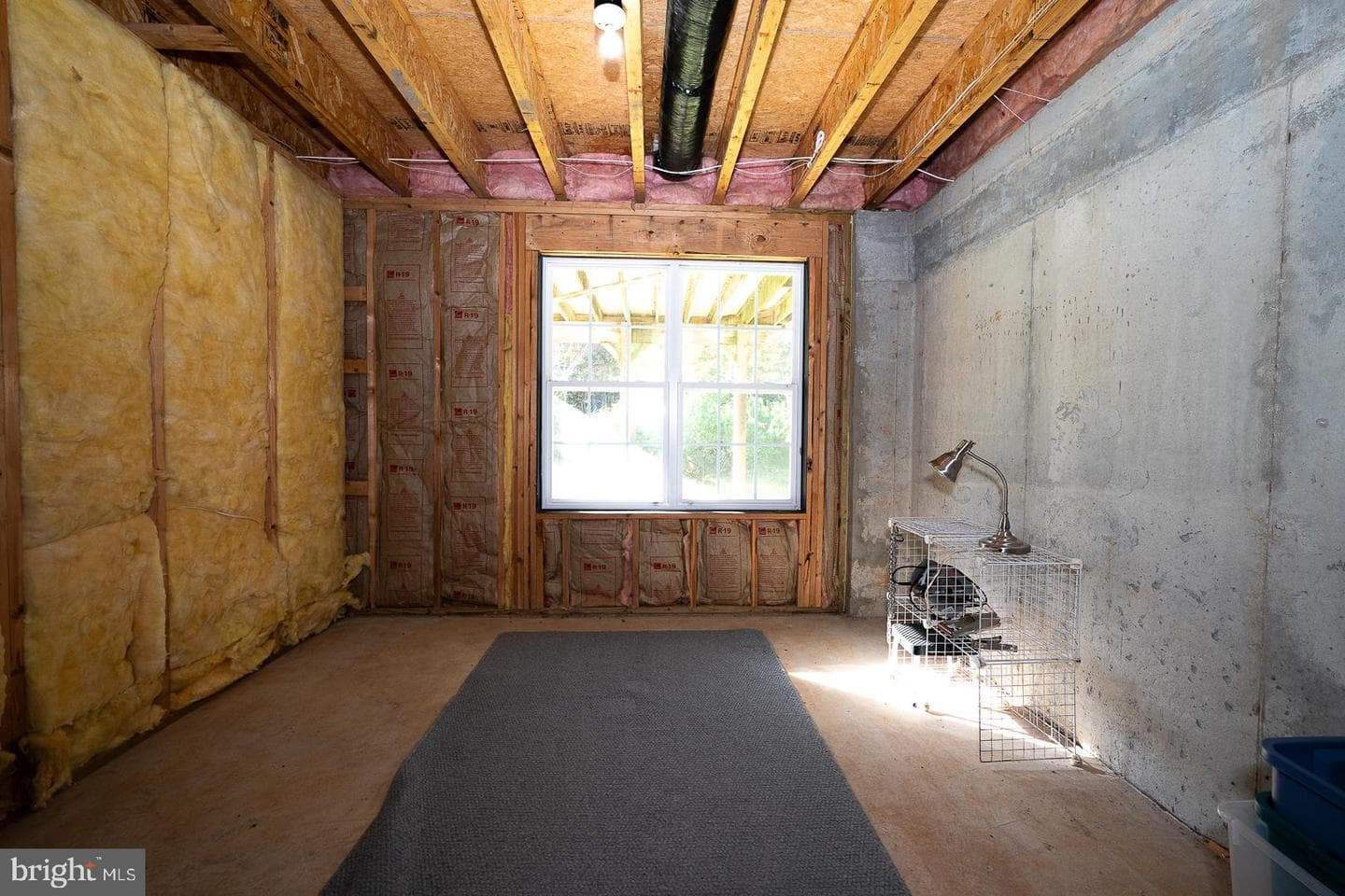 347 Astilbe Drive photo 46