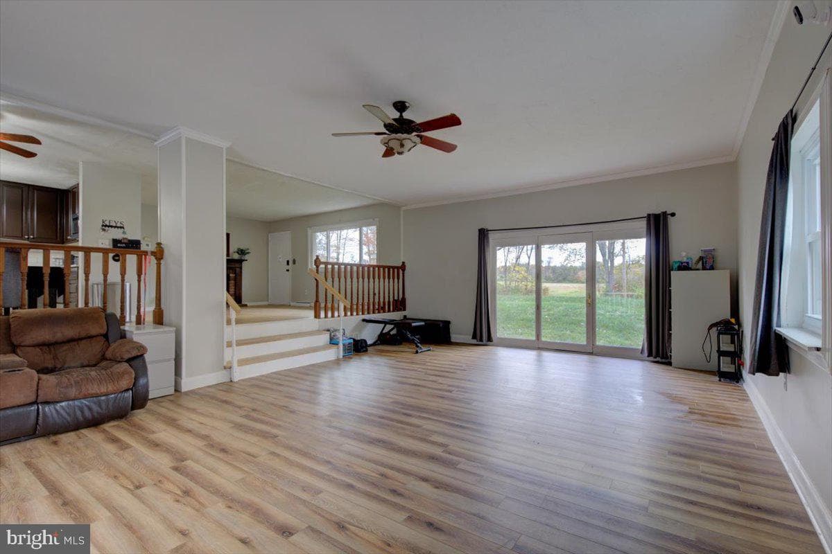 297 Killian Road photo 15