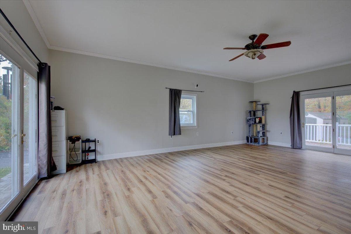 297 Killian Road photo 17