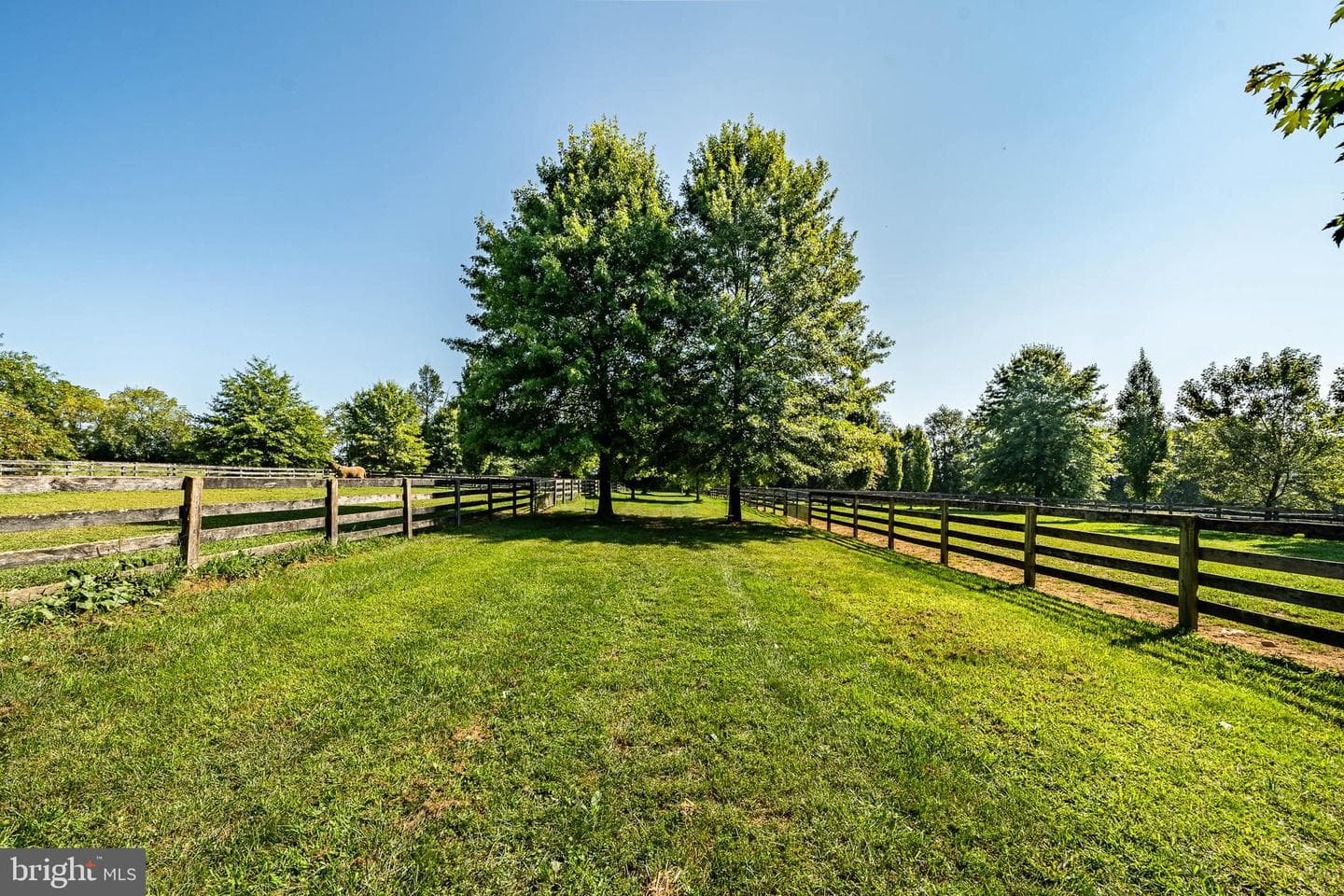 301 High Point Road photo 26