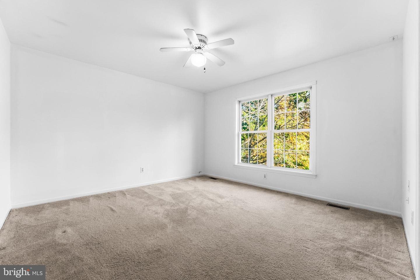 120 Ashley Road photo 37