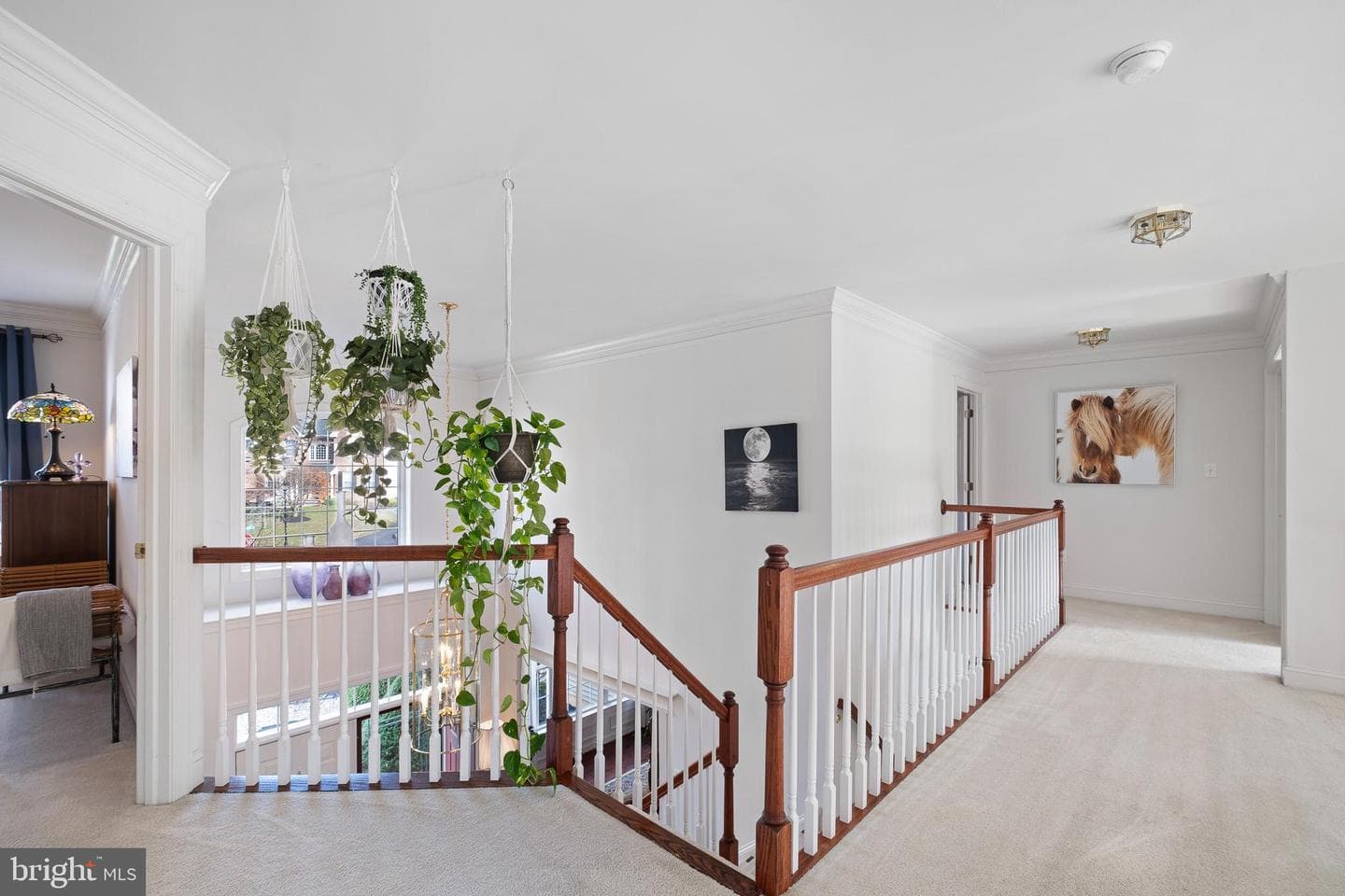 171 Candlewyck Drive photo 20