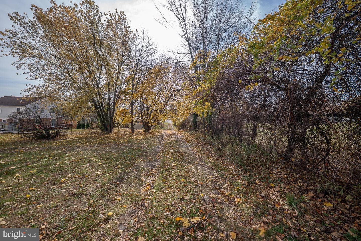 418 South Street photo 23