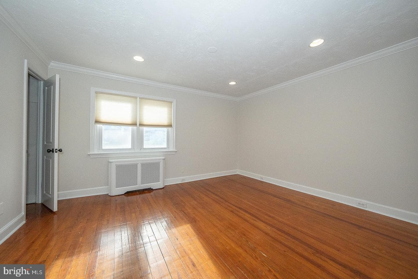 339 William Street photo 19