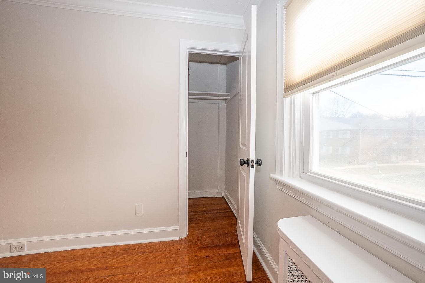 339 William Street photo 22