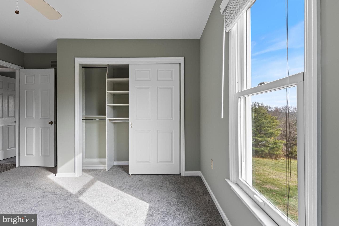 1710 Bow Tree Drive photo 56